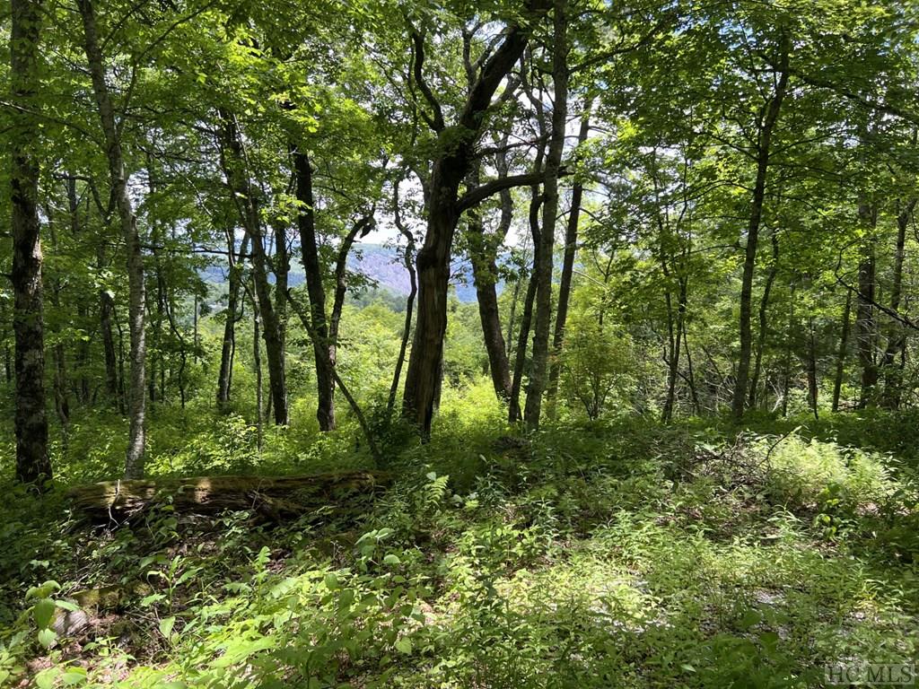 TBD Worley Road