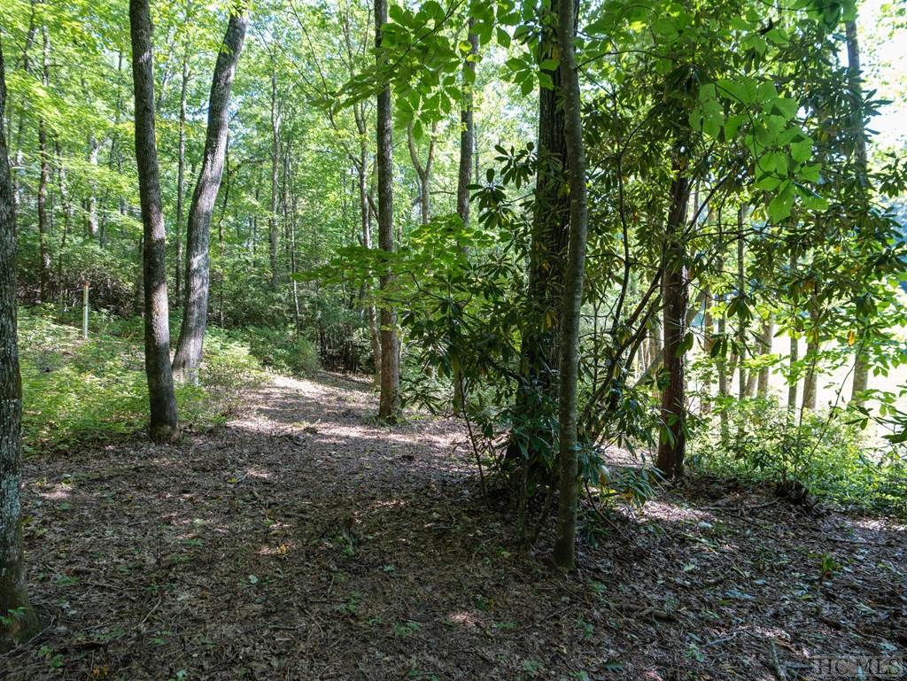45/46R Keowee Trail