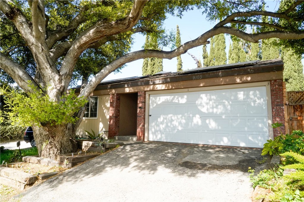 9103 Olin Drive