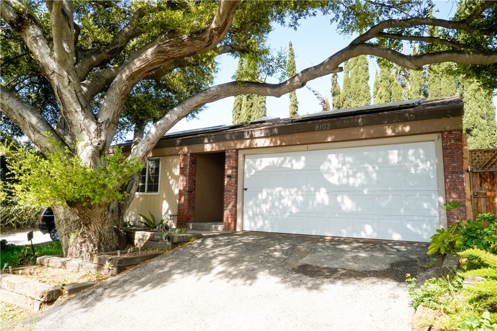 9103 Olin Drive