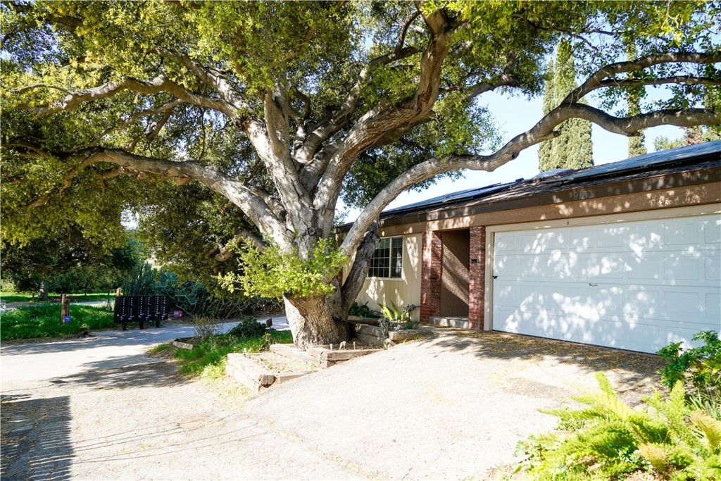 9103 Olin Drive