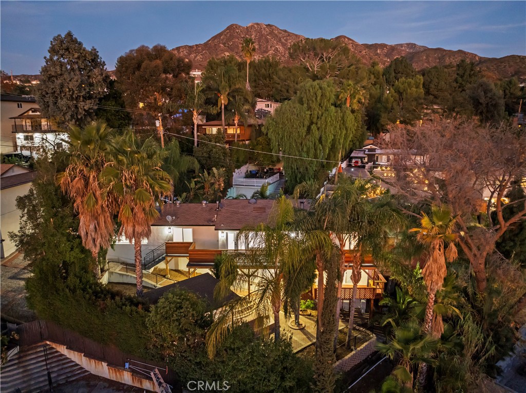 10941 Cardamine Place