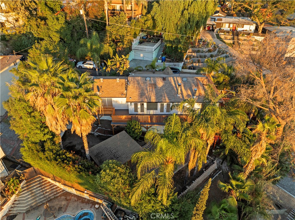 10941 Cardamine Place
