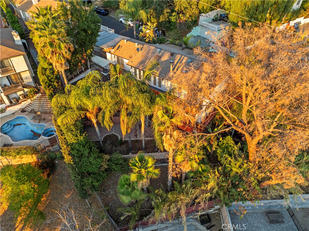 10941 Cardamine Place