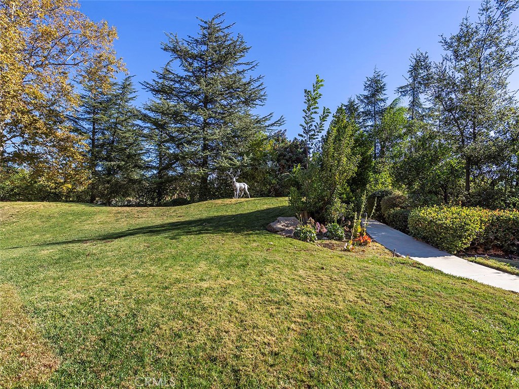 11485 Awenita Court