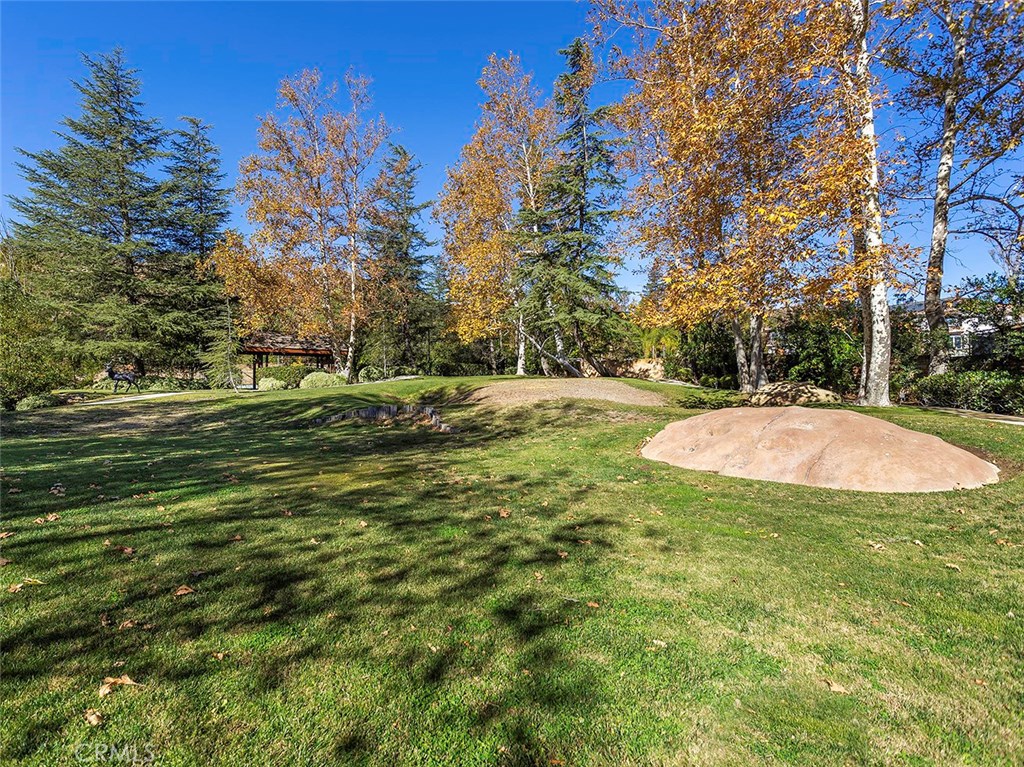 11485 Awenita Court