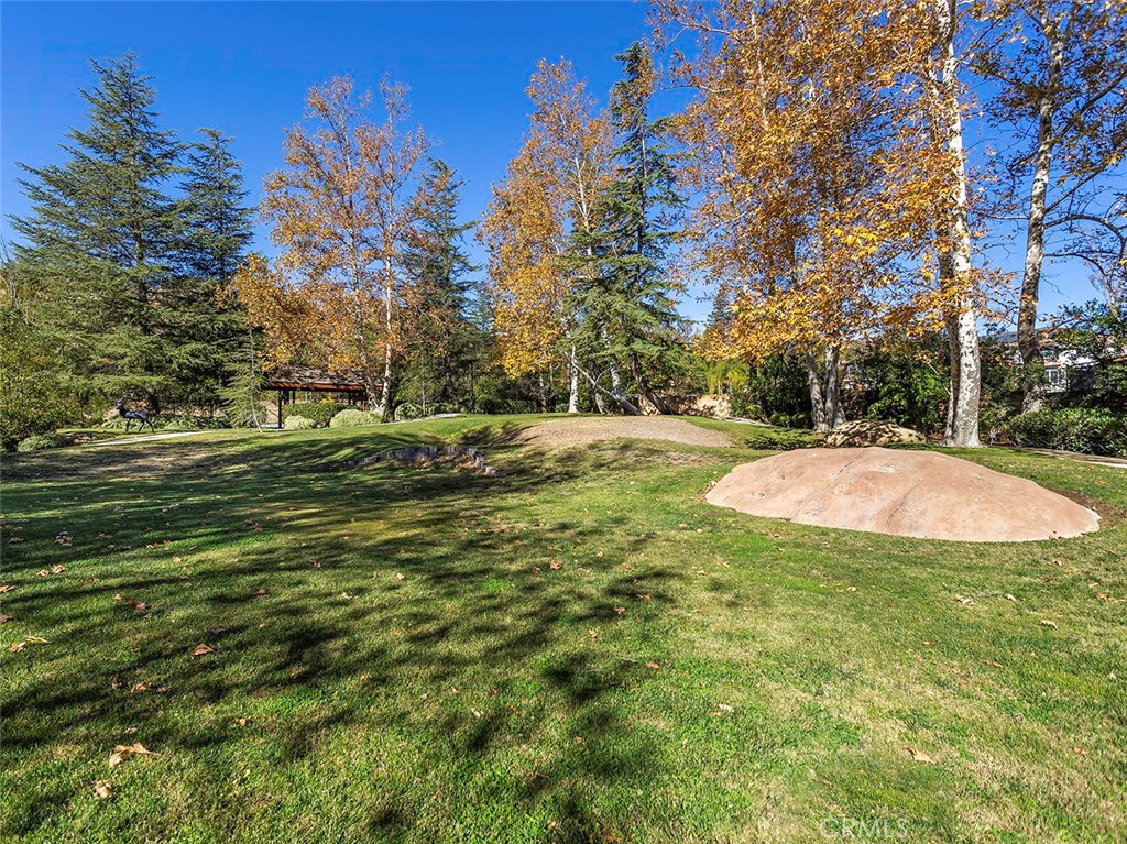 11485 Awenita Court