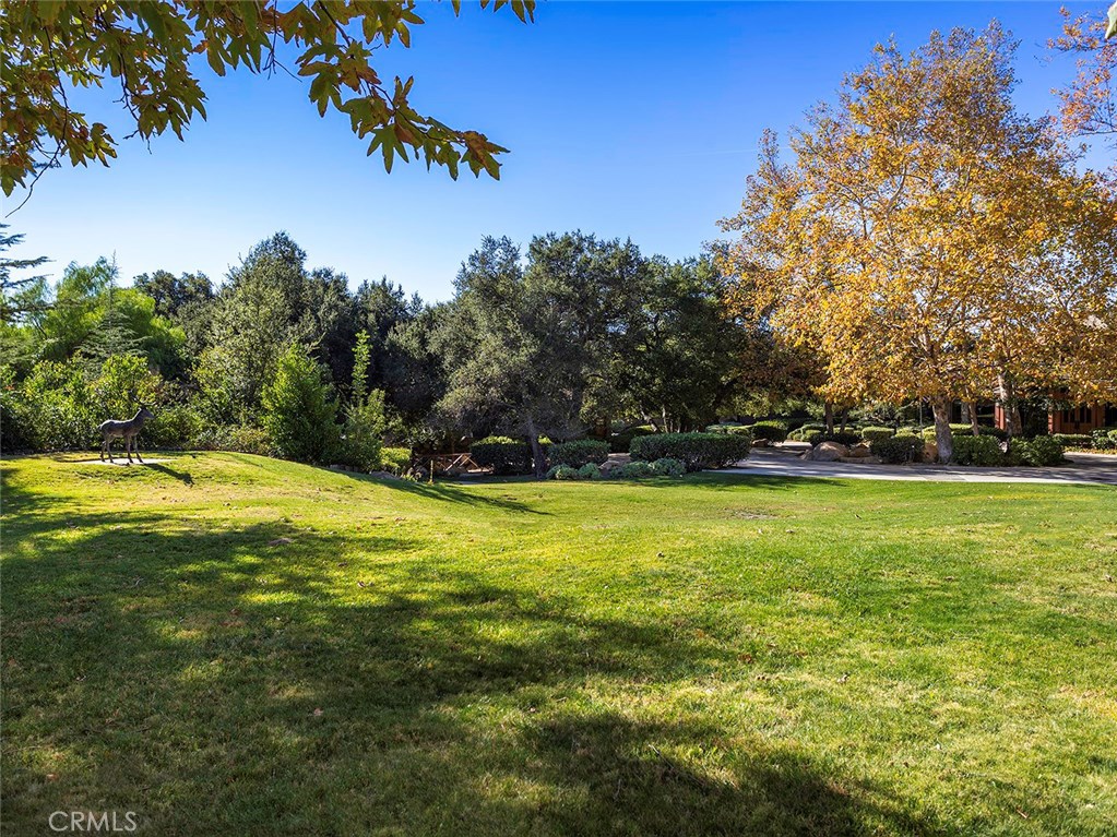 11485 Awenita Court