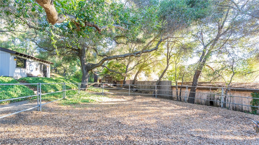 25813 Dark Creek Road