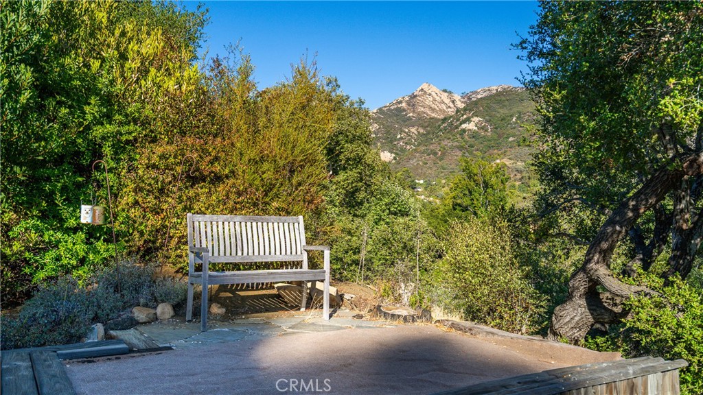 25813 Dark Creek Road