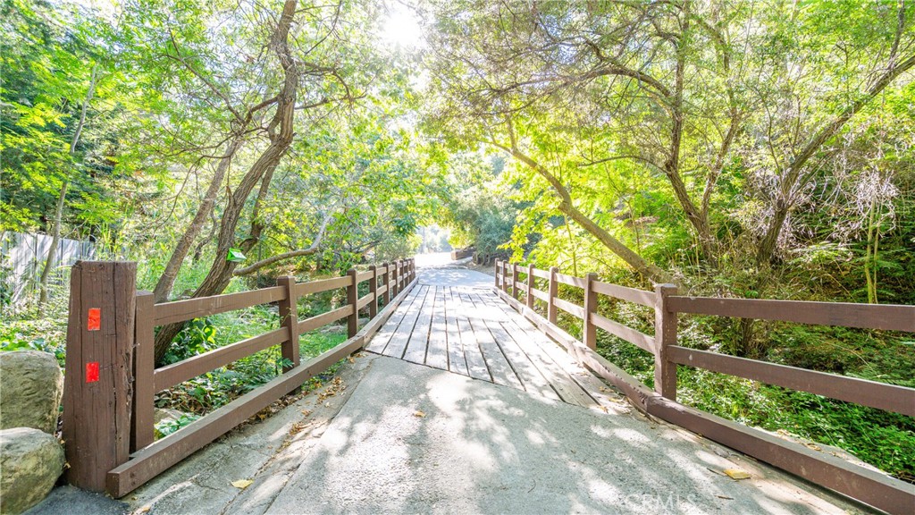 25813 Dark Creek Road