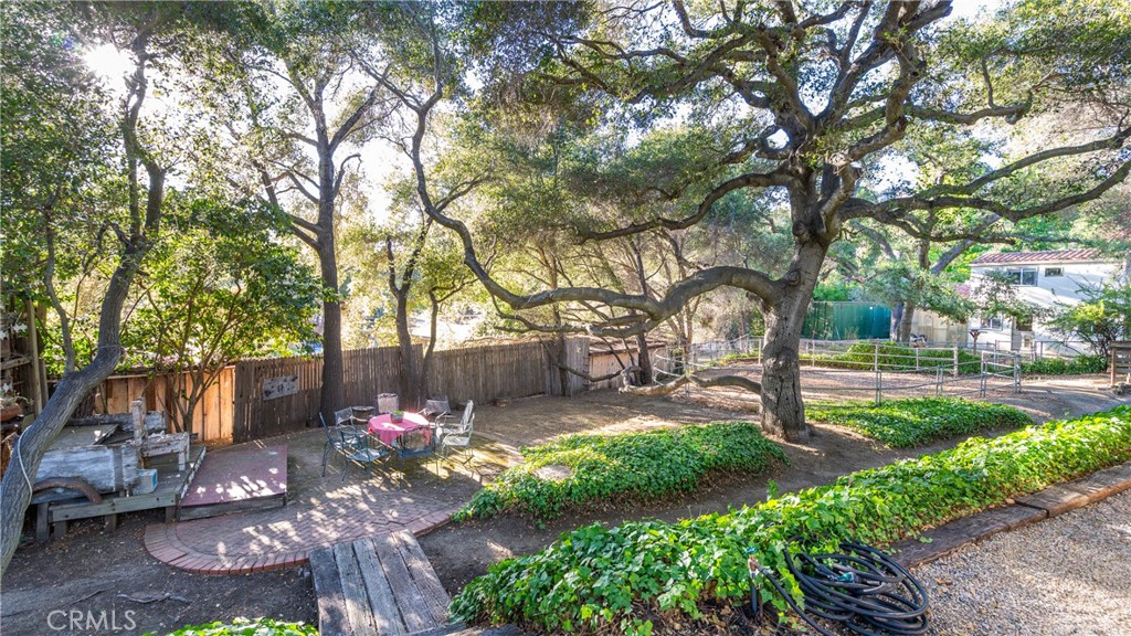 25813 Dark Creek Road