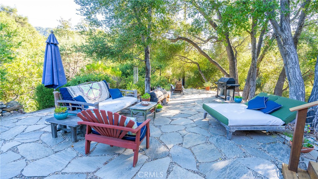 25813 Dark Creek Road