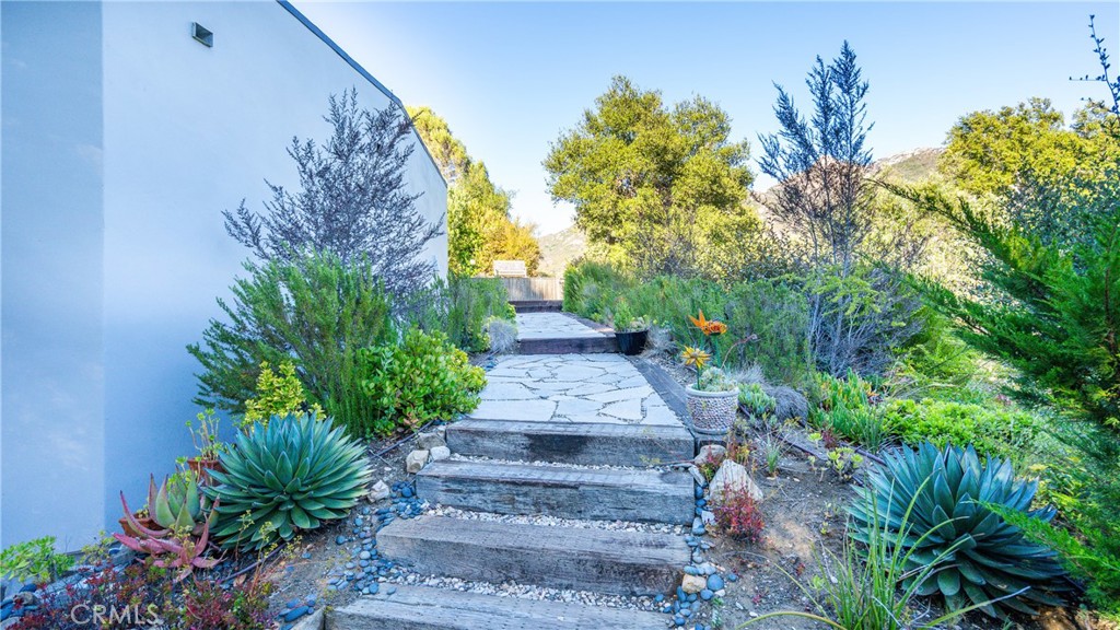 25813 Dark Creek Road