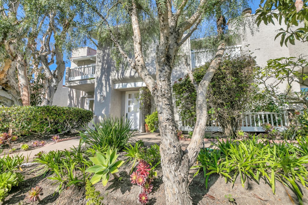 28384 Rey De Copas Lane