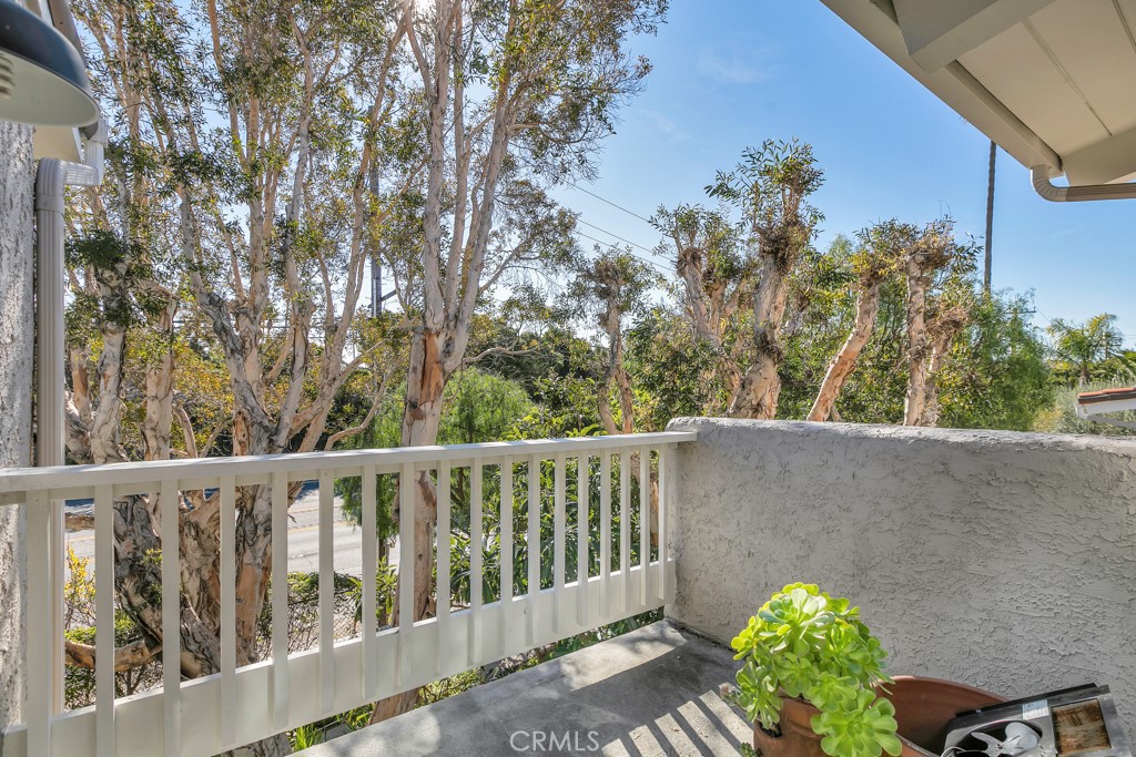 28384 Rey De Copas Lane