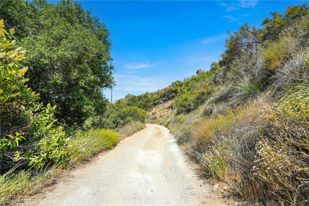 20219 Paradise Lane