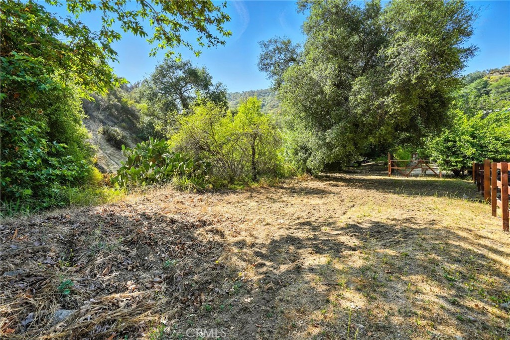 20219 Paradise Lane
