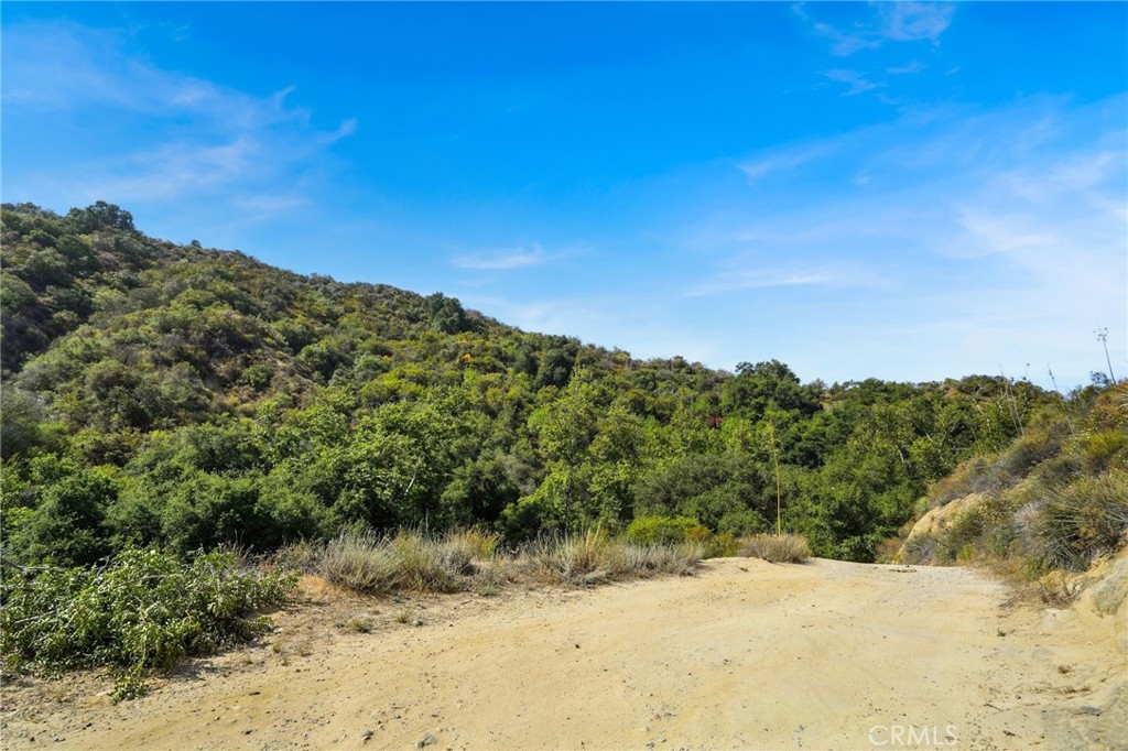 20219 Paradise Lane