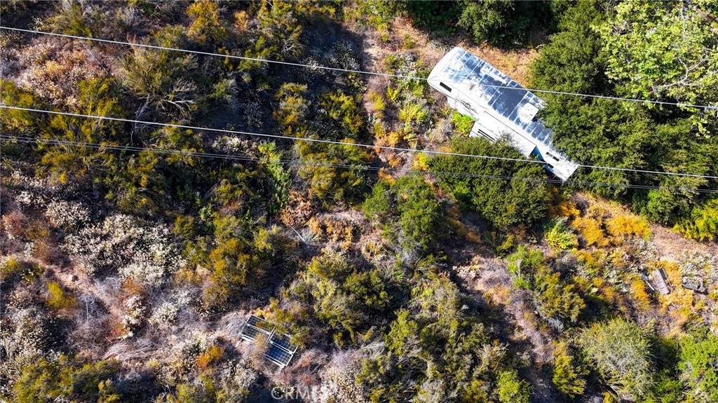 20219 Paradise Lane