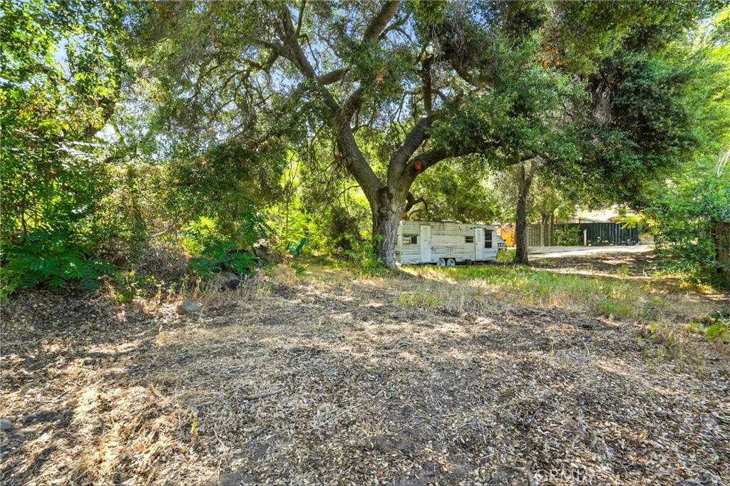 20219 Paradise Lane