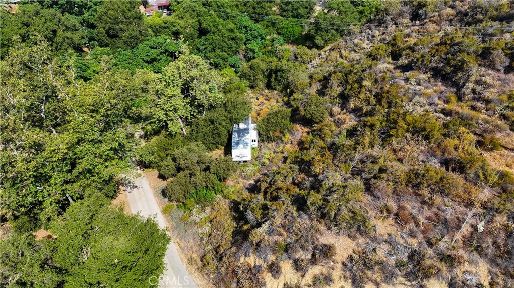 20219 Paradise Lane