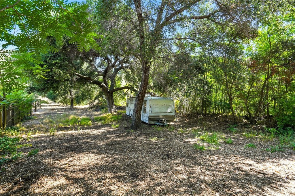 20219 Paradise Lane