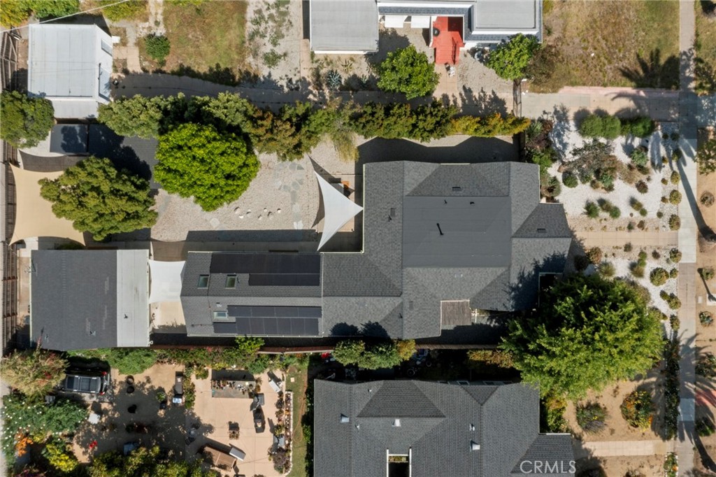 1445 Paloma Street