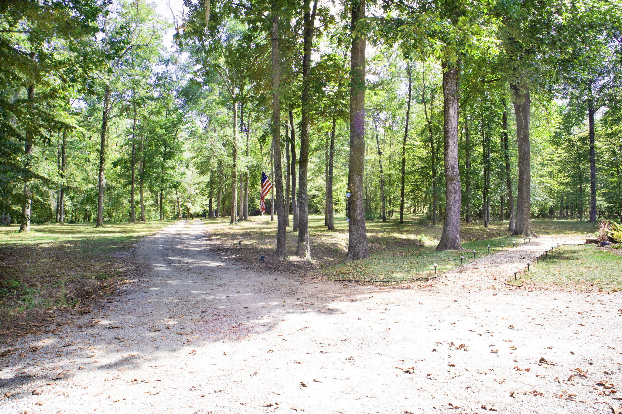 103 Walnut Branch Court