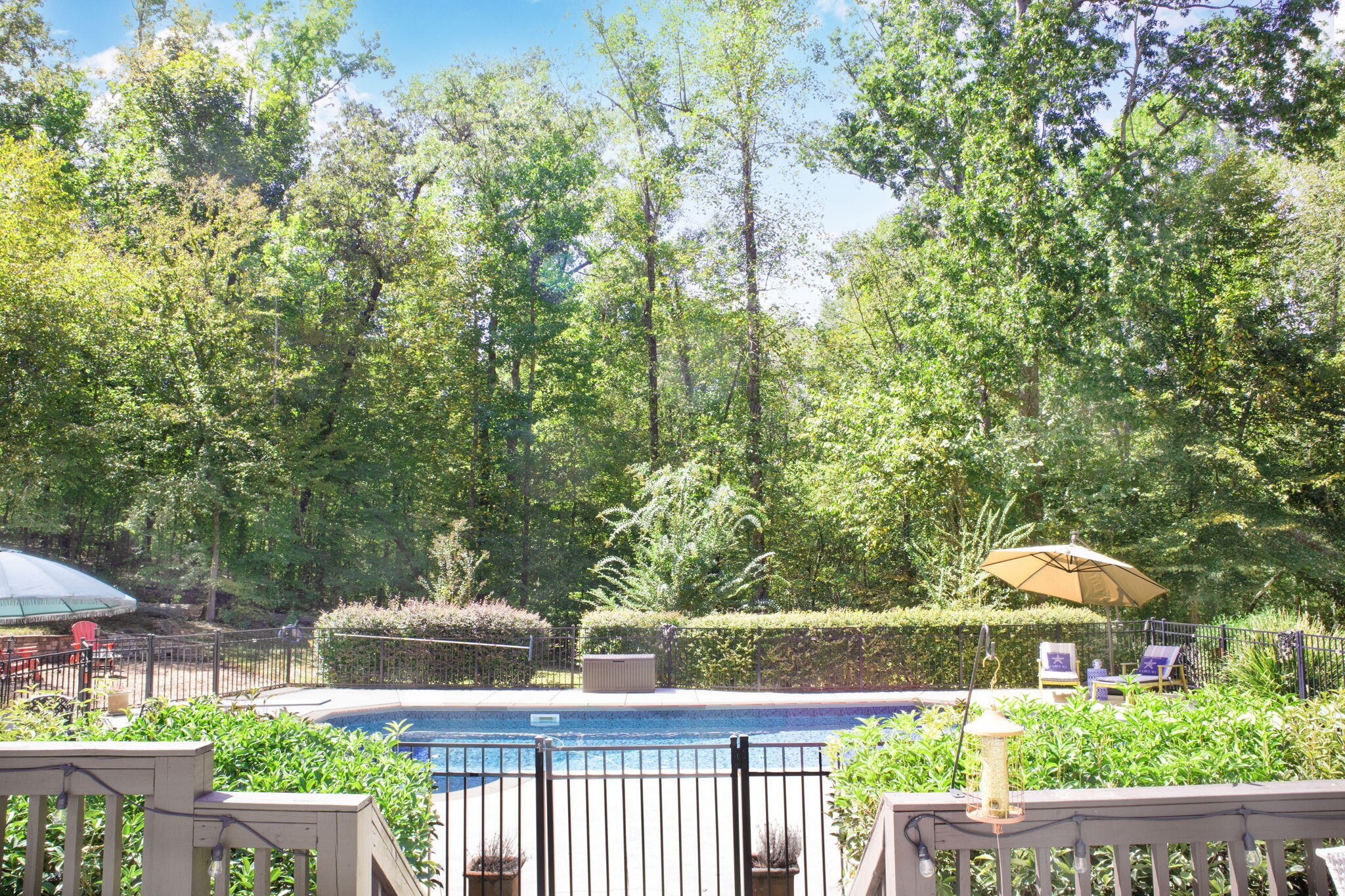 103 Walnut Branch Court