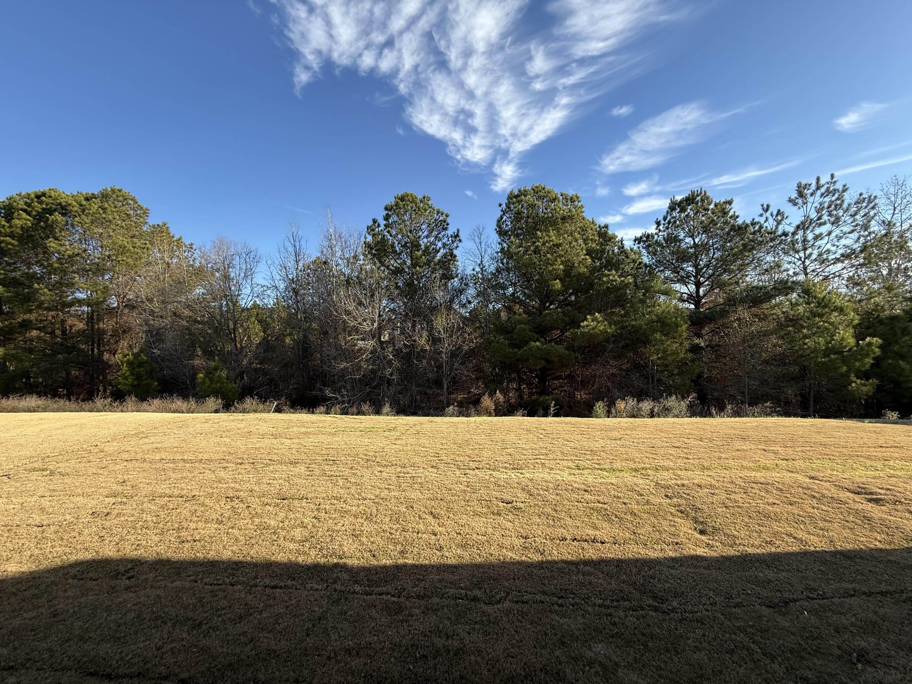 801 Whitney Shoals Rd.