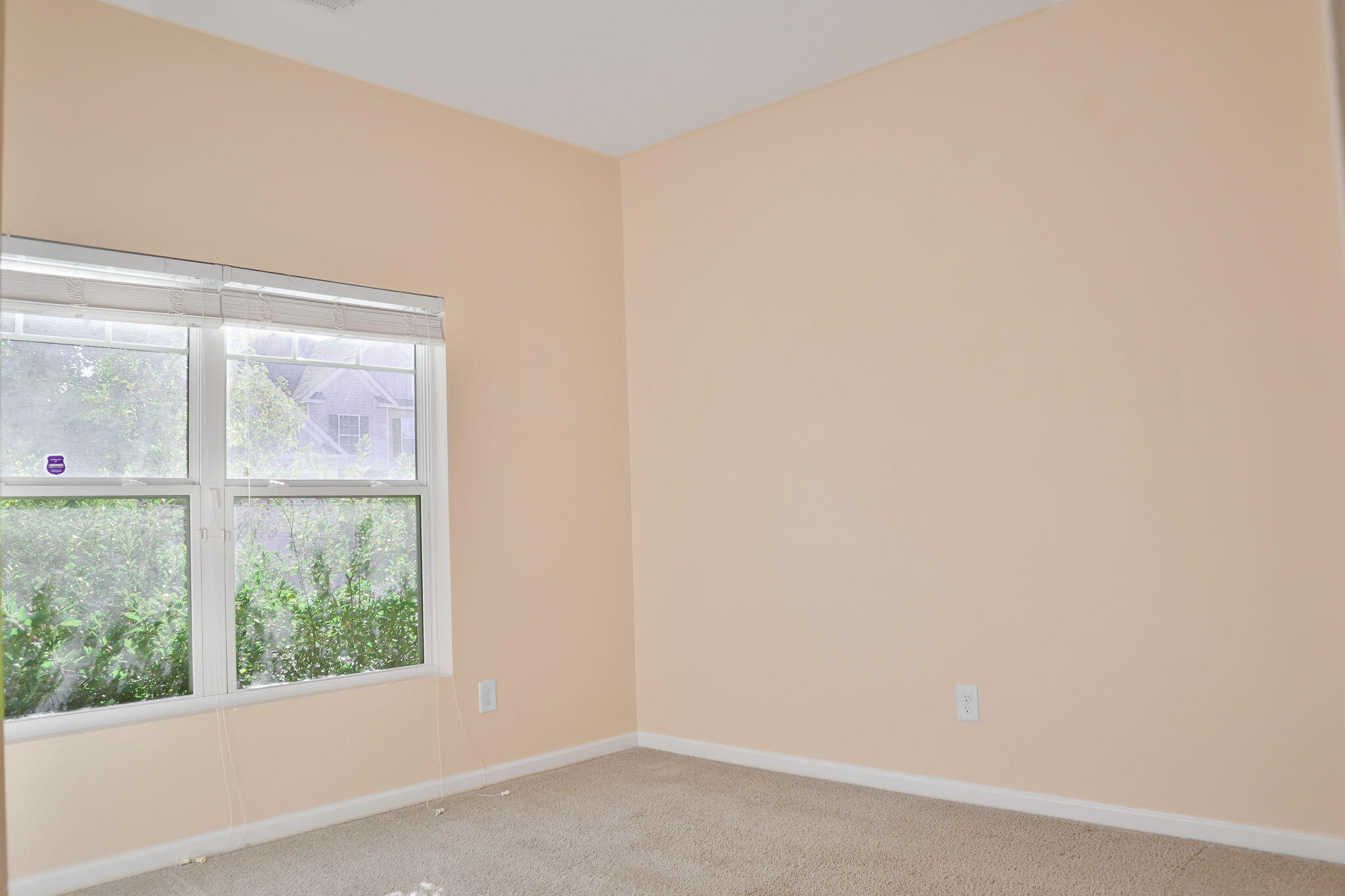 205 Hazelwood Court