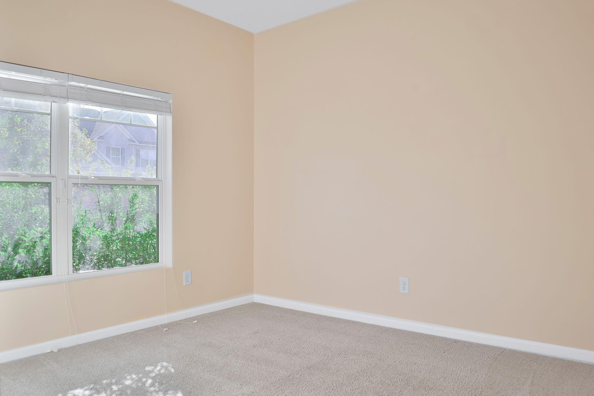 205 Hazelwood Court