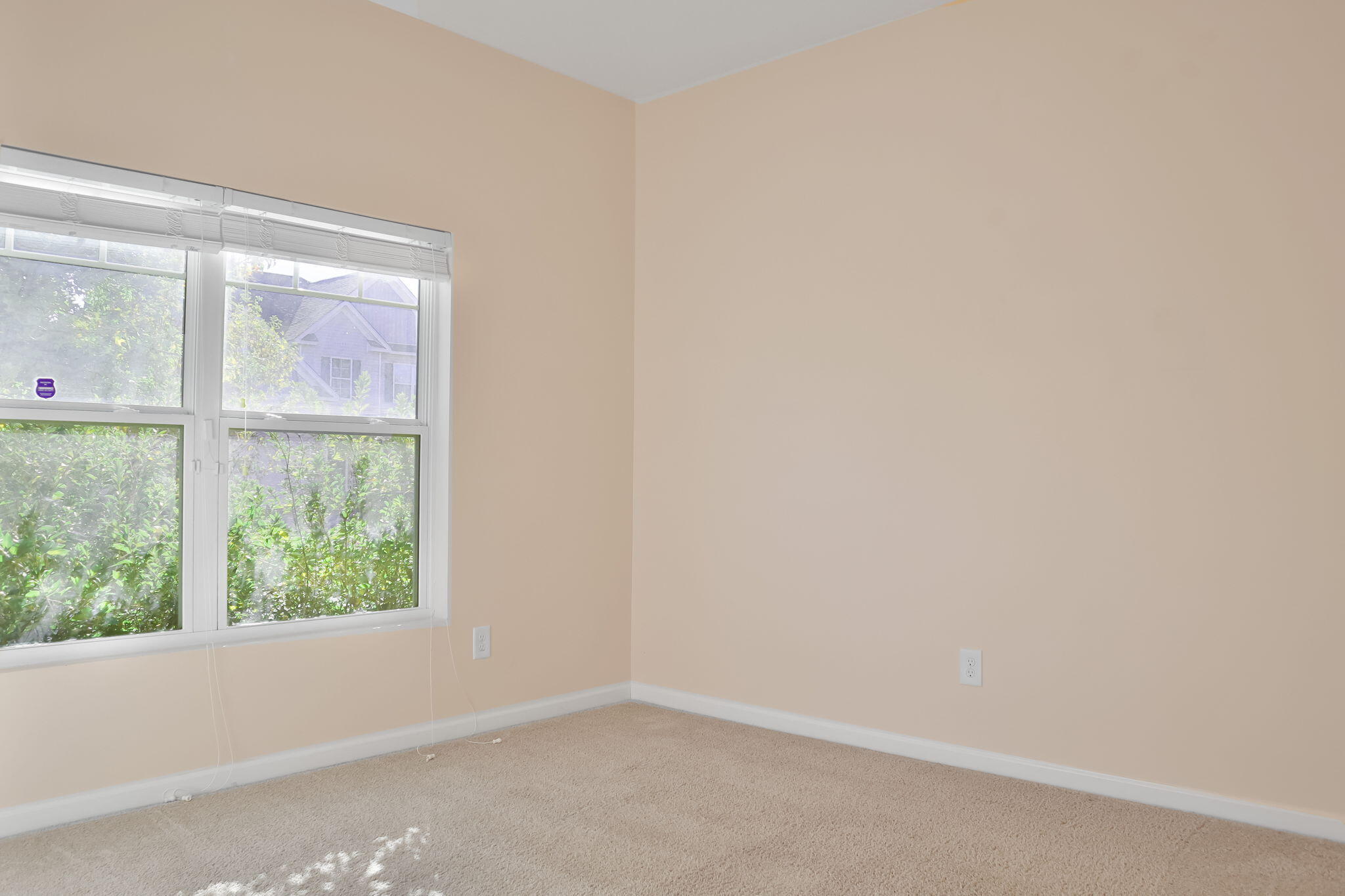205 Hazelwood Court