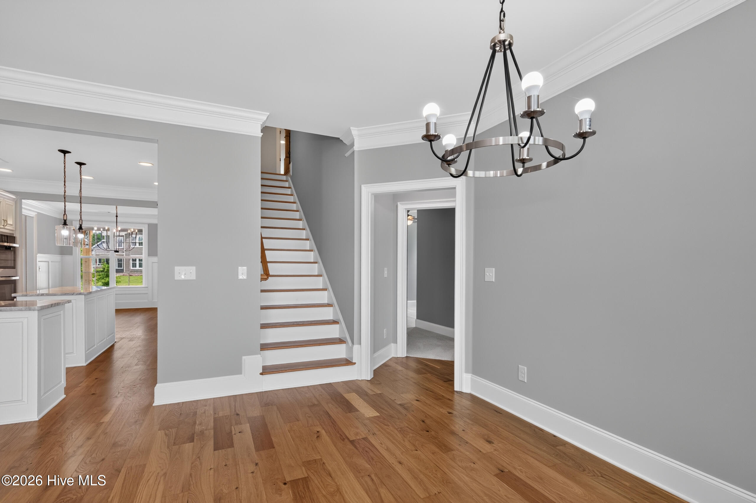 454 Woodlawn St.