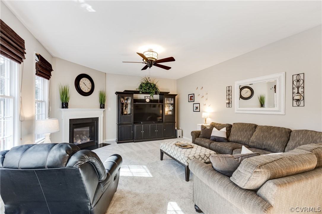 4197 Virginia Rail Drive