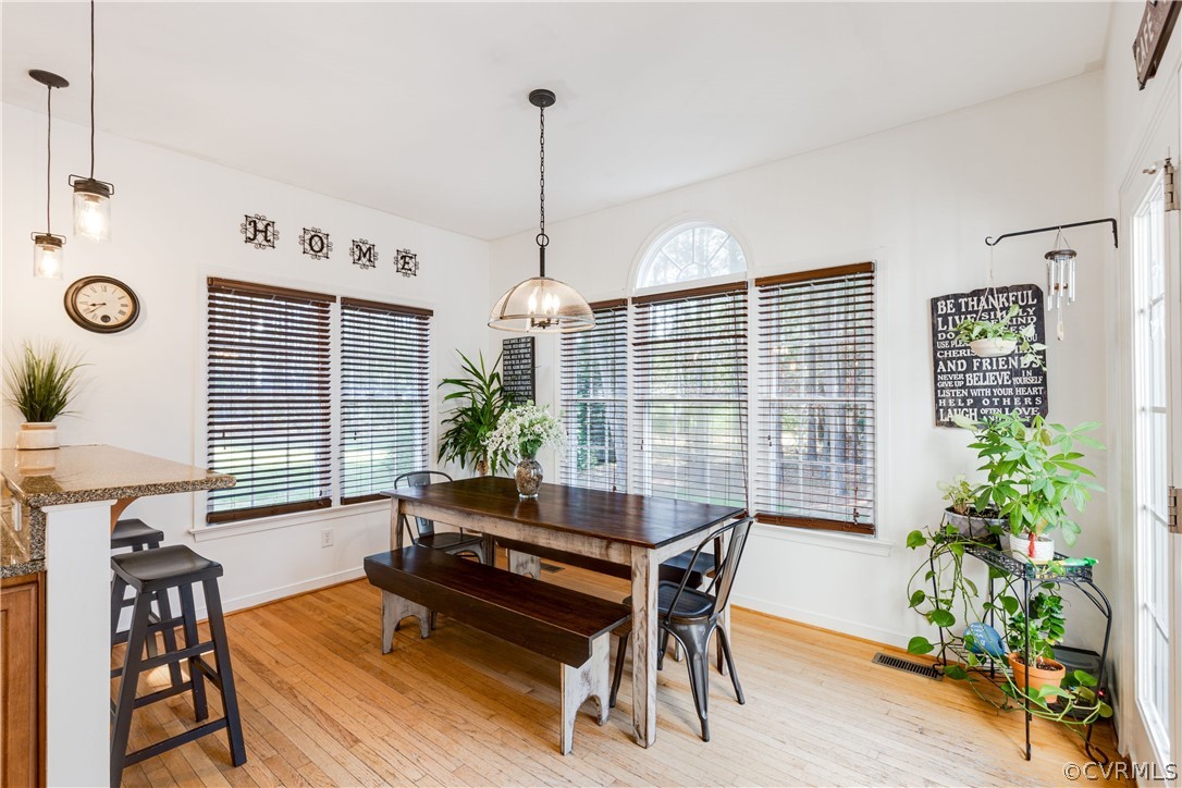 4197 Virginia Rail Drive