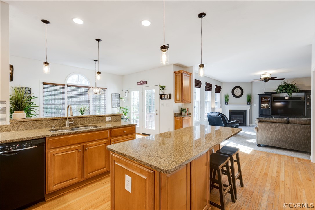 4197 Virginia Rail Drive