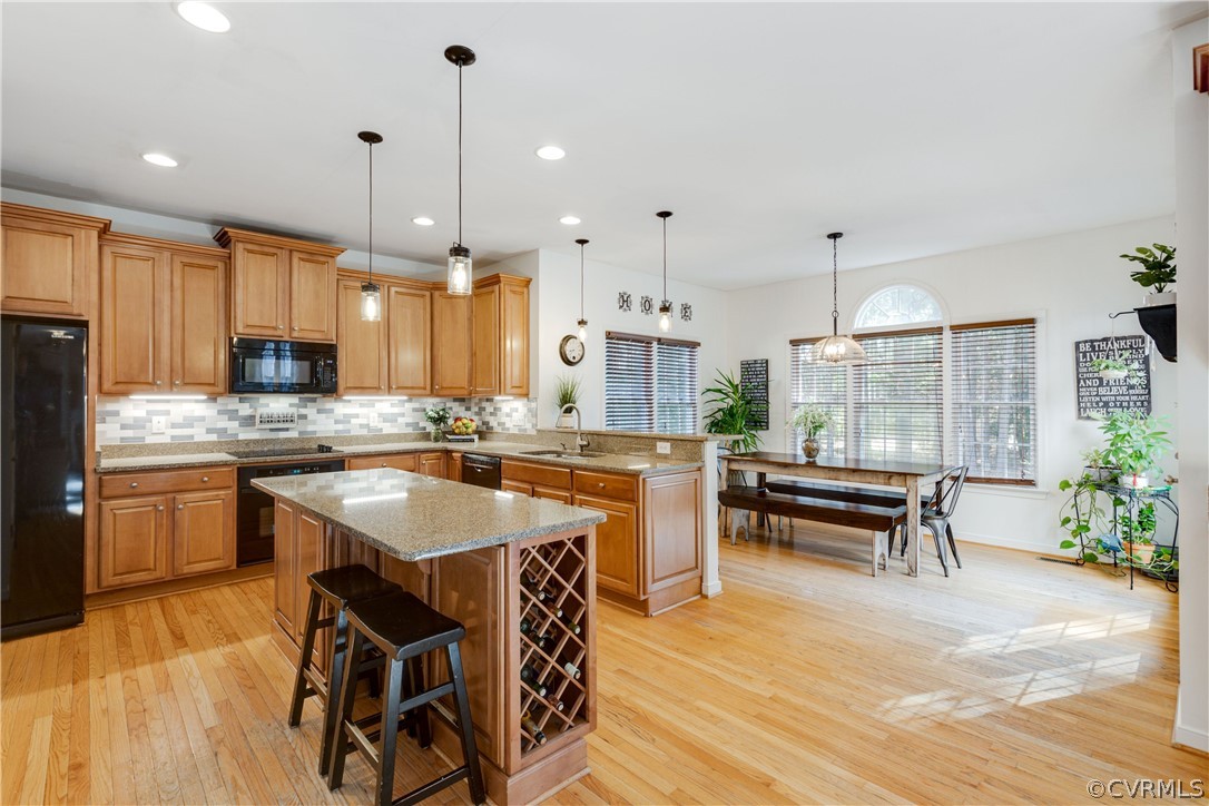 4197 Virginia Rail Drive