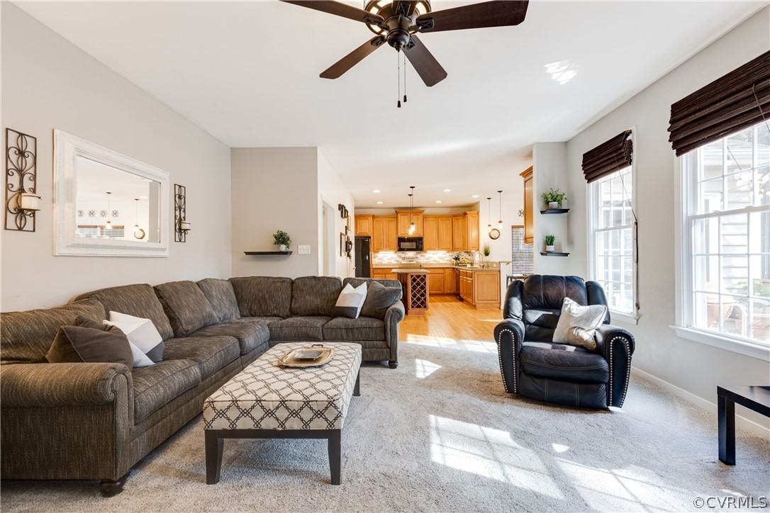 4197 Virginia Rail Drive