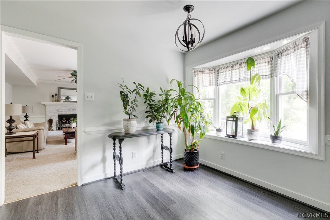 13903 Cedar Cliff Court