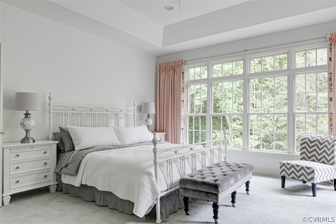 9717 Colony Bluff Drive