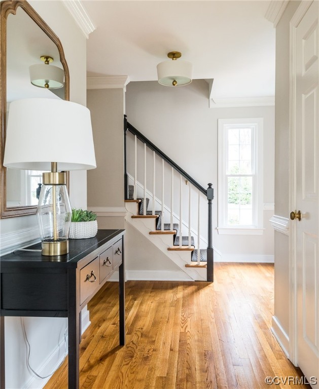 520 Belle Grove Lane