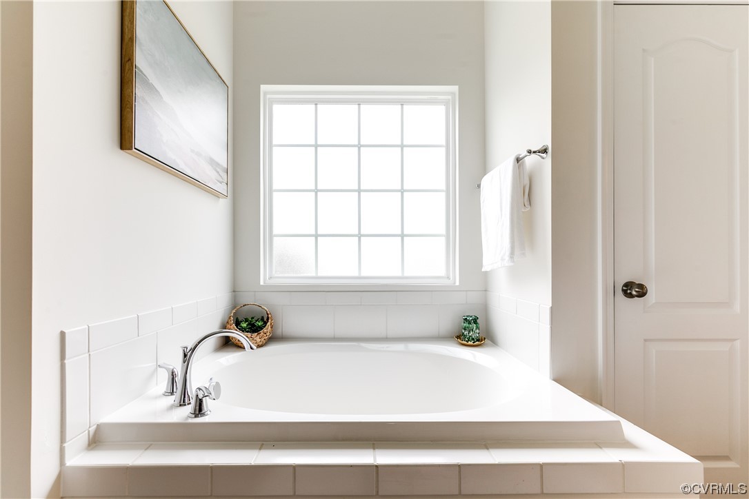 17300 Ivory Bill Lane