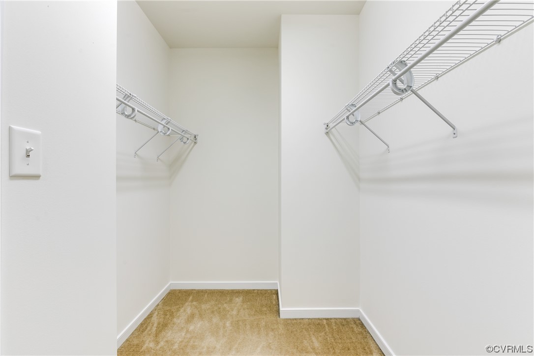 17300 Ivory Bill Lane