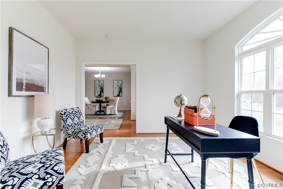 17300 Ivory Bill Lane