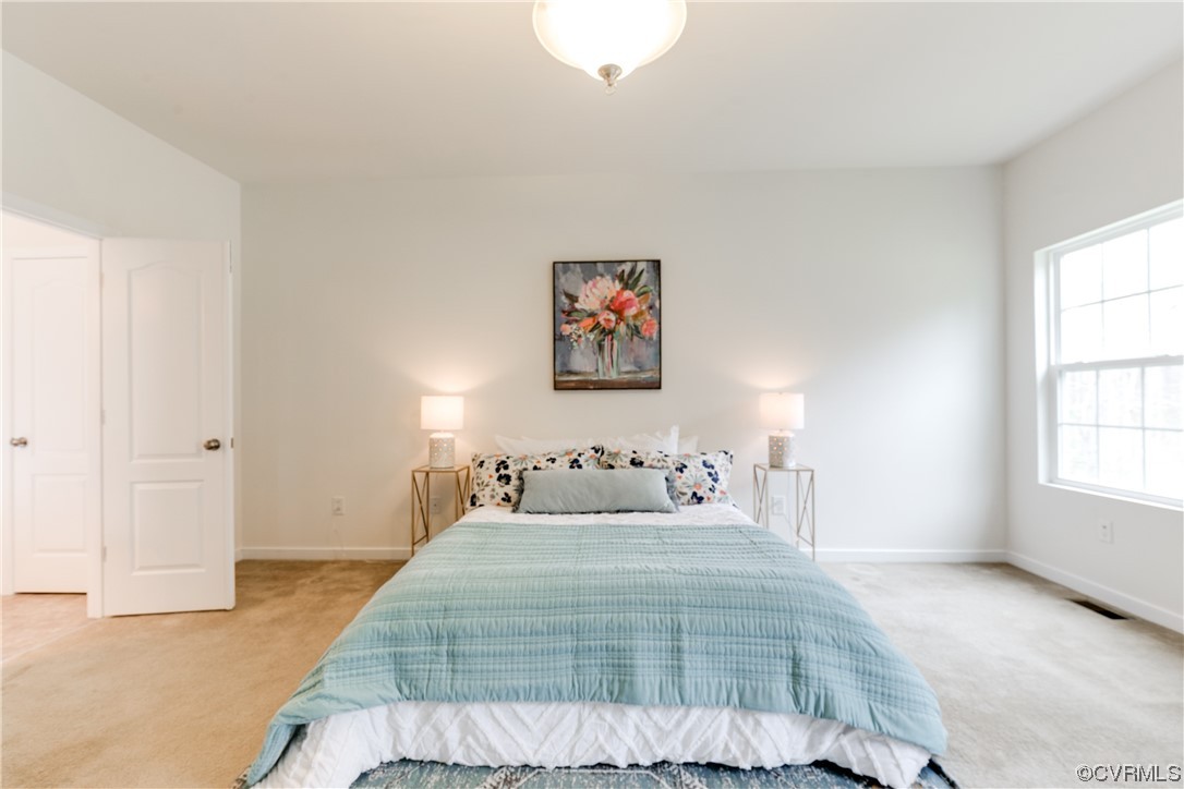 17300 Ivory Bill Lane