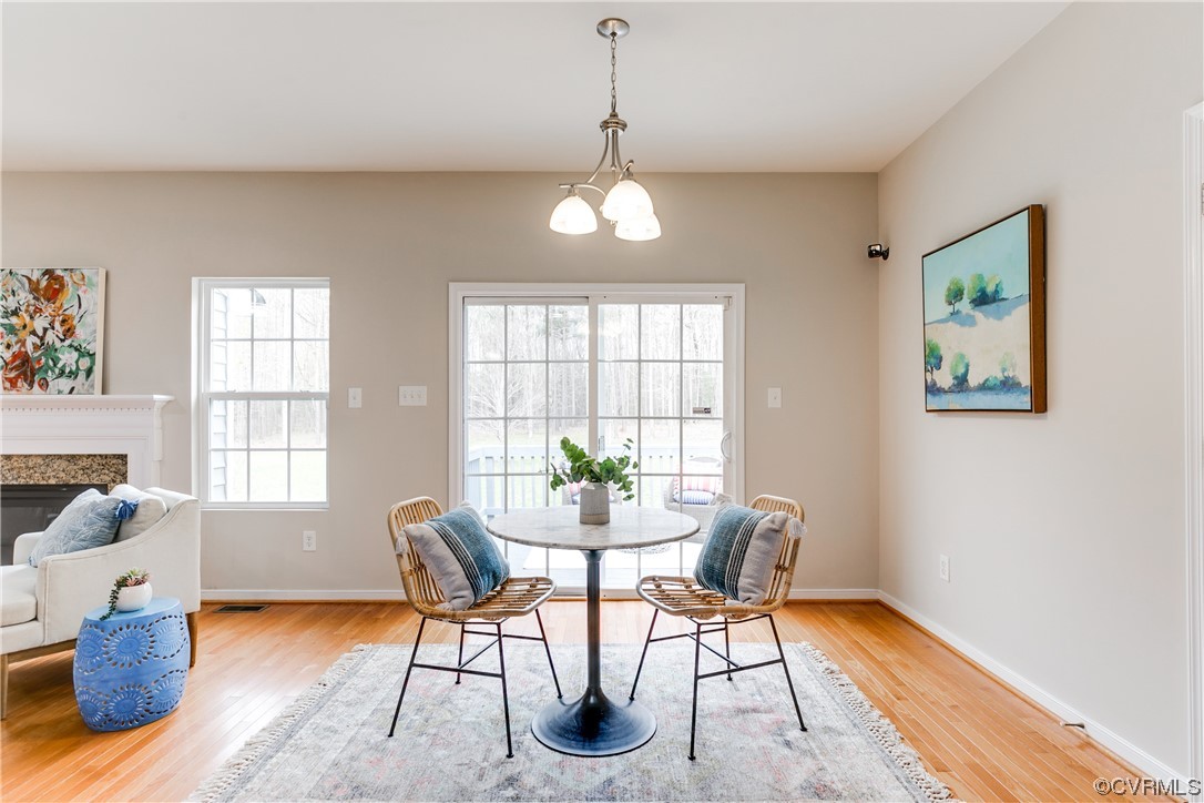 17300 Ivory Bill Lane