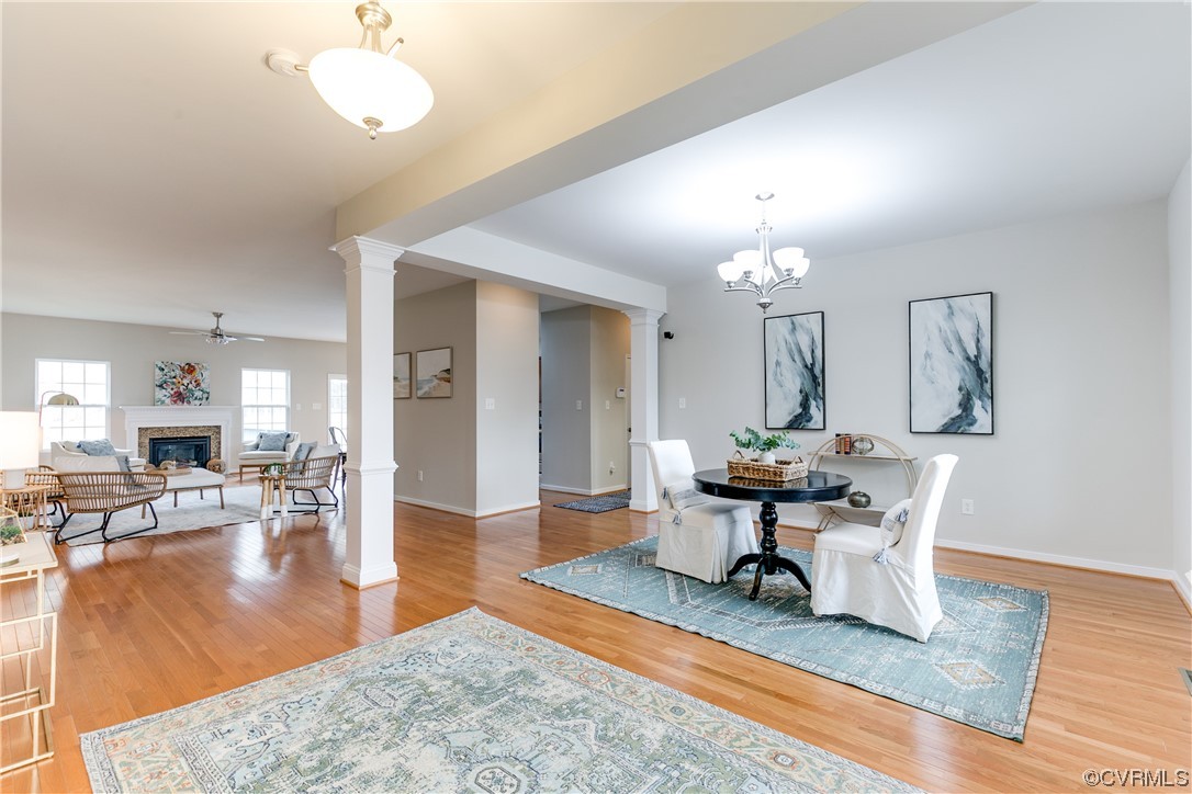 17300 Ivory Bill Lane