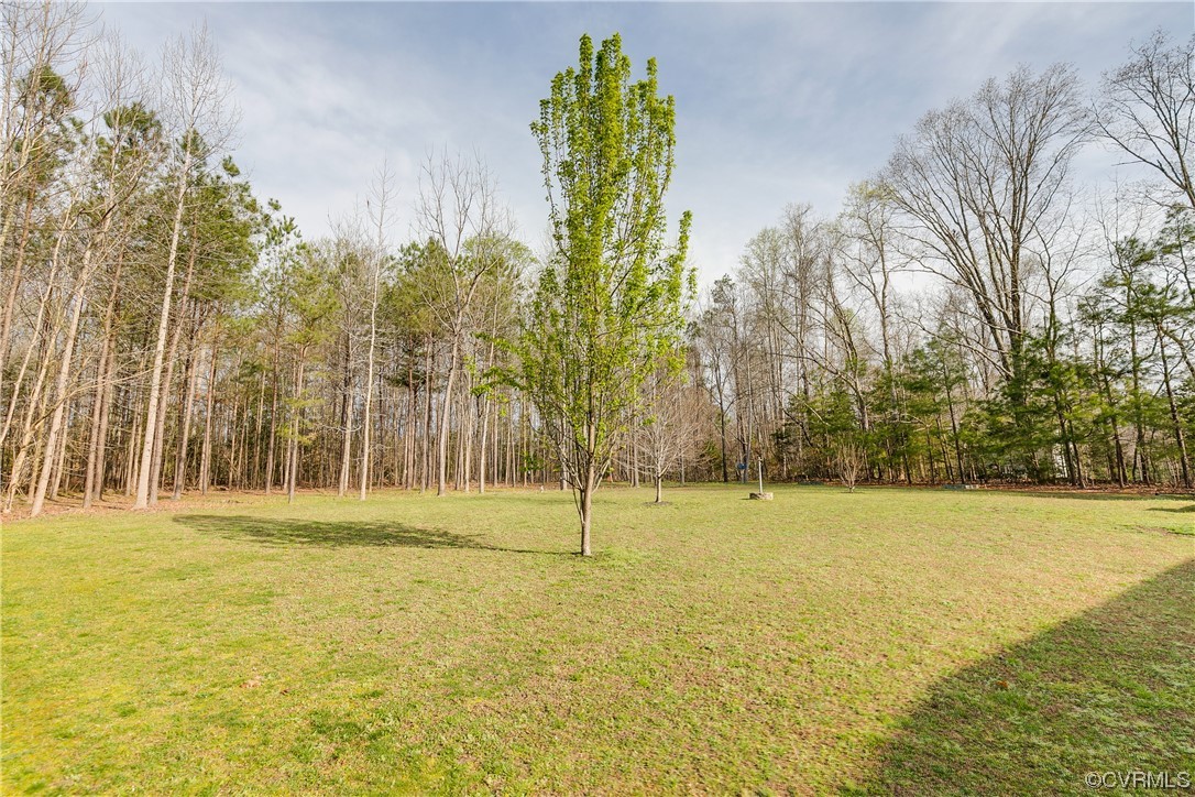 17300 Ivory Bill Lane